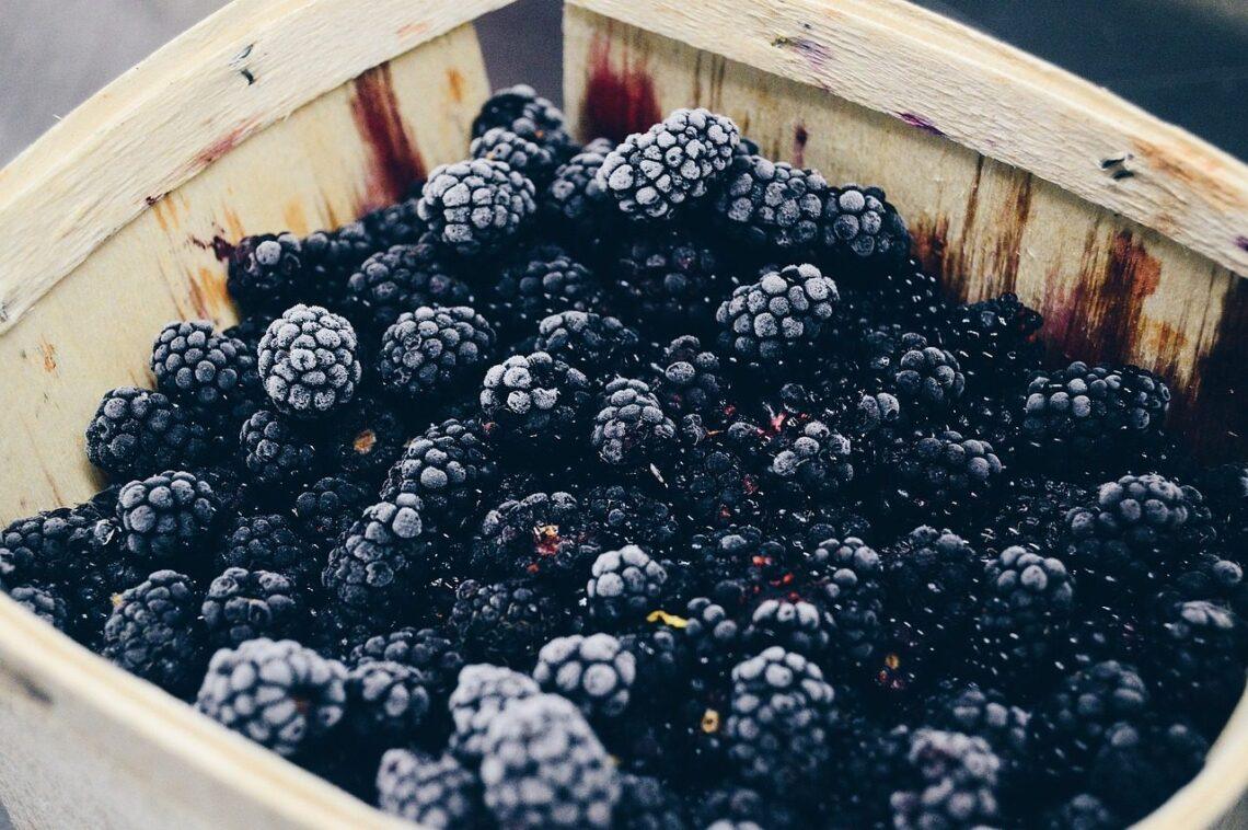 Fresh blackberries rich in antioxidants and vitamins -7 amazing blackberry benefits.jpg