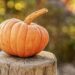 Top 5 fall foods.jpg
