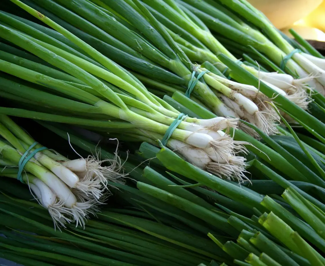 What we eat in May—fresh green onions