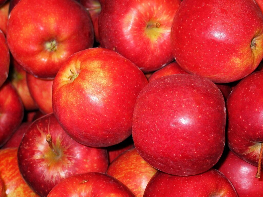 seasonal foods in September